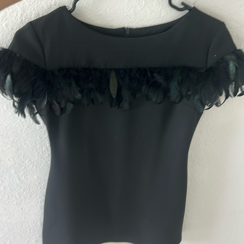 Dress with feathers